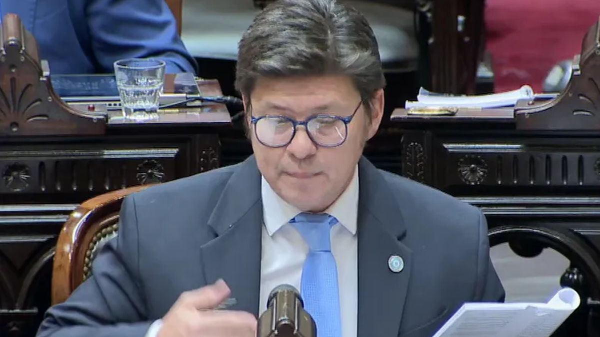 Un diputado libertario se desmarca de Adorni: "Solo respondo por Milei"