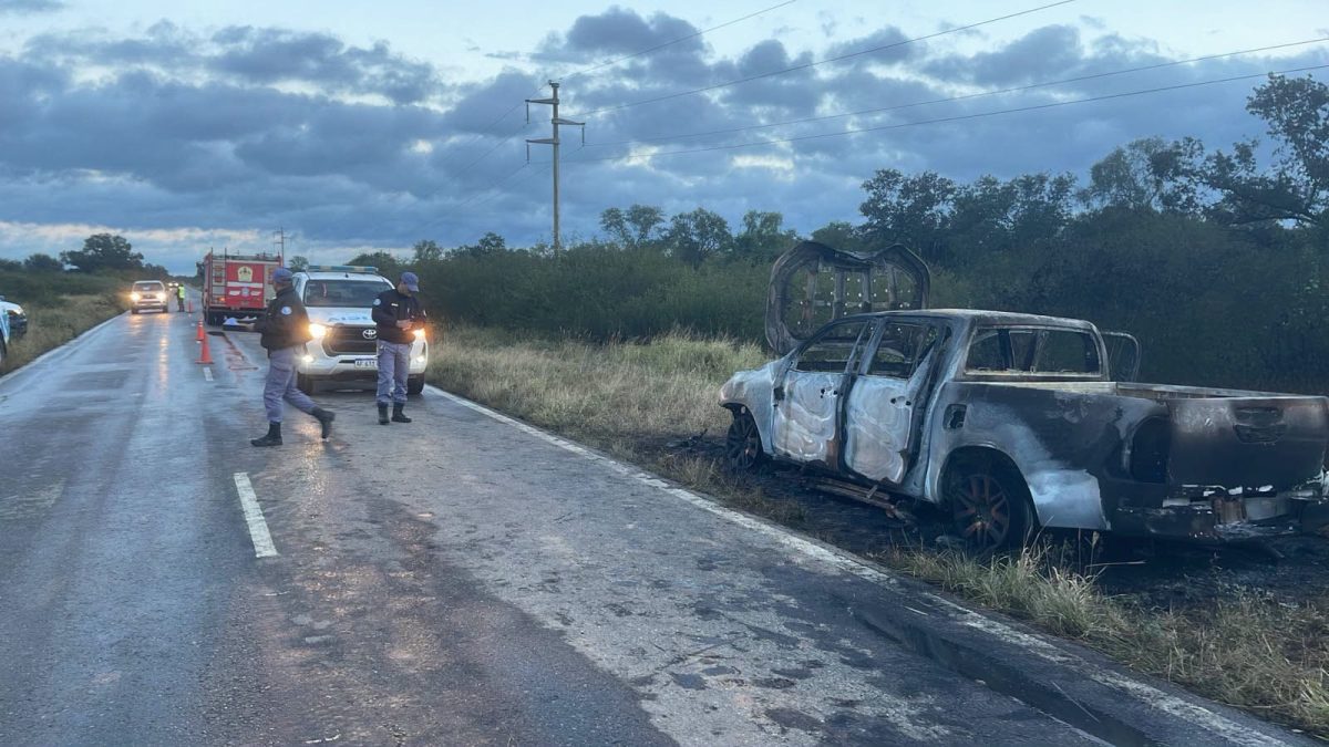 Hallazgo inquietante en Ruta 81: investigan incendio de camioneta con identidad falsa