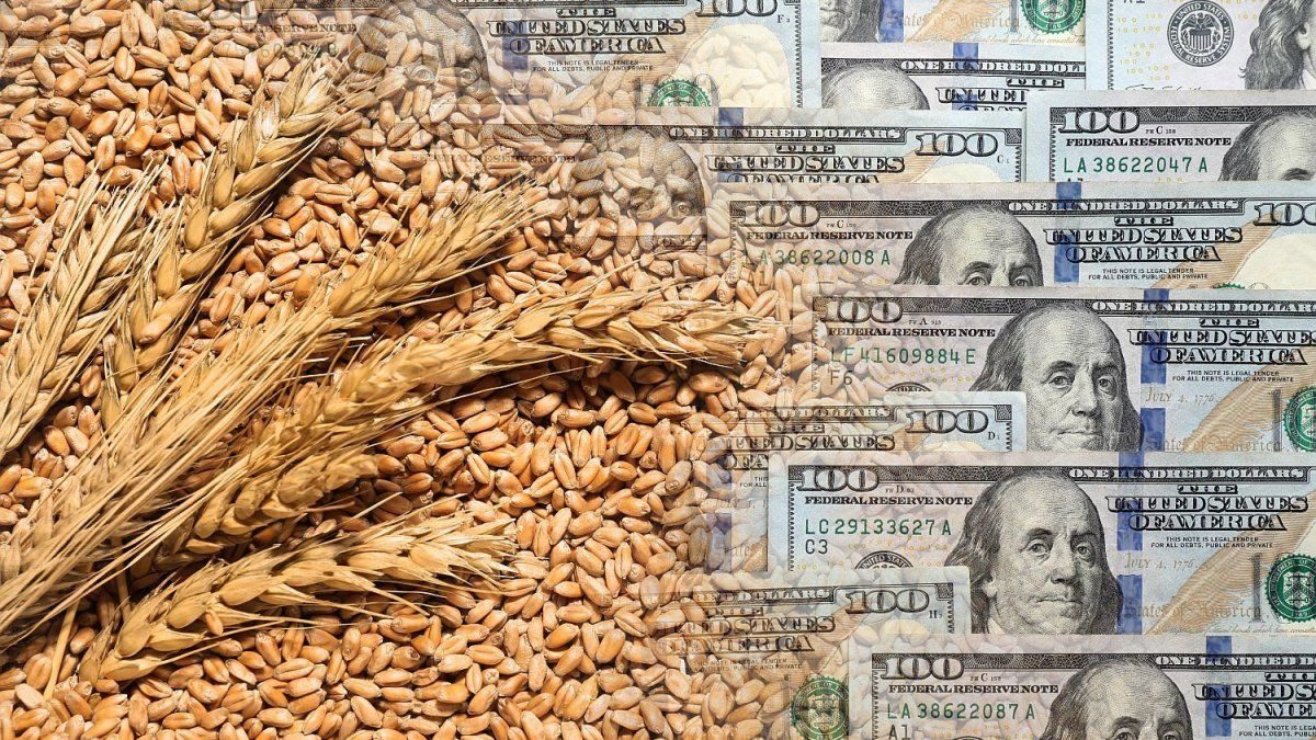 La rebaja de retenciones al agro: ¿bastó para disparar las exportaciones?