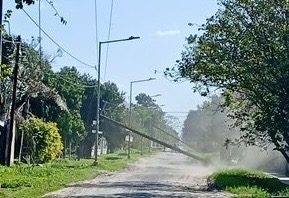 Defensoría exige urgente revisión de postes y cables ante colapsos por fenómenos climáticos