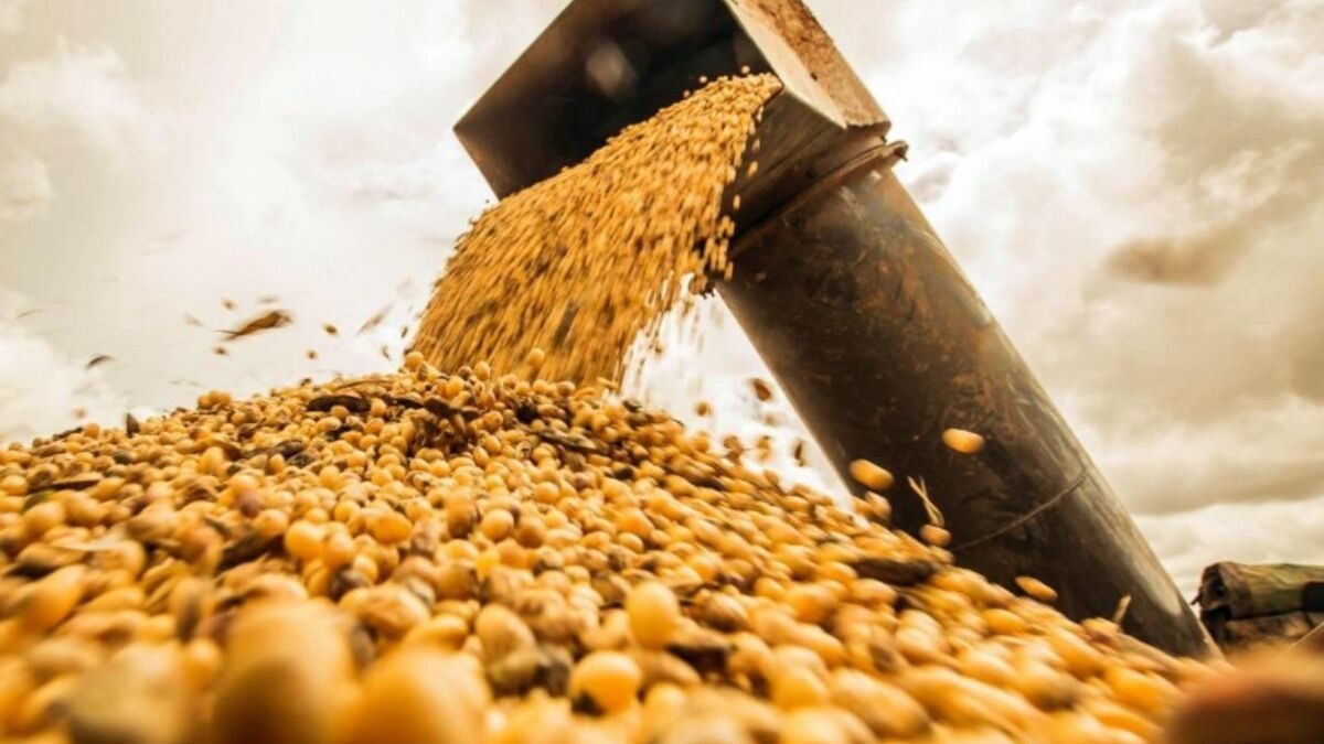 El agro argentino rompe récords: casi u$s27 mil millones exportados en seis meses