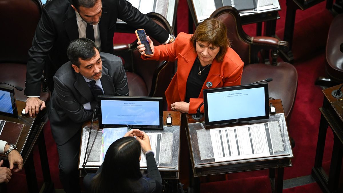 Ley de Tierras: La Libertad Avanza enfrenta su quinta batalla en el Senado sin votos seguros