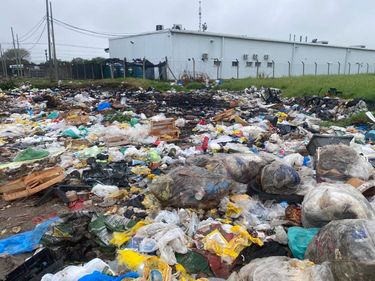 La batalla contra los microbasurales: cuando la ciudad se despierta con más basura de la que se limpió