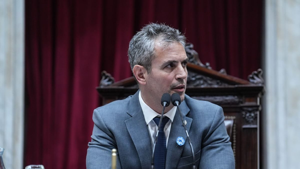 Menem acelera el debate sobre la reforma del Banco Central en Diputados