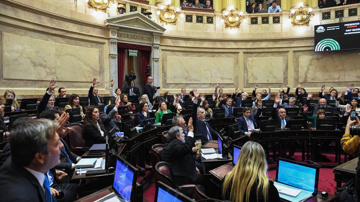 El Senado aprobó la Ley de Inviolabilidad pero sin los capítulos más controvertidos