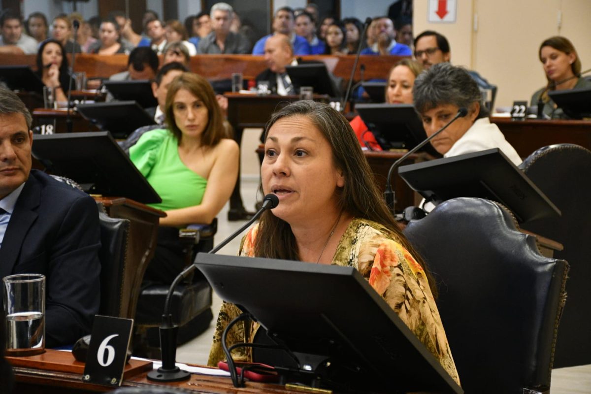 Oposición impulsa ley de asistencia para familias endeudadas en Formosa