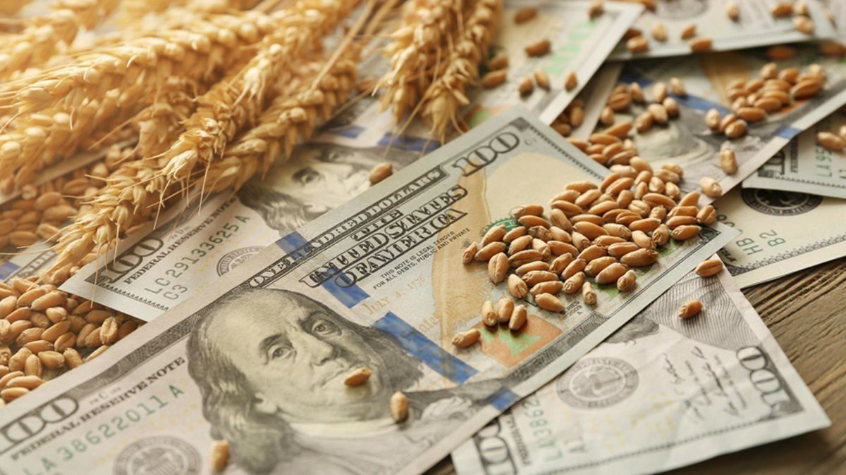 El agro seguirá aportando miles de millones en retenciones pese a la baja de tasas