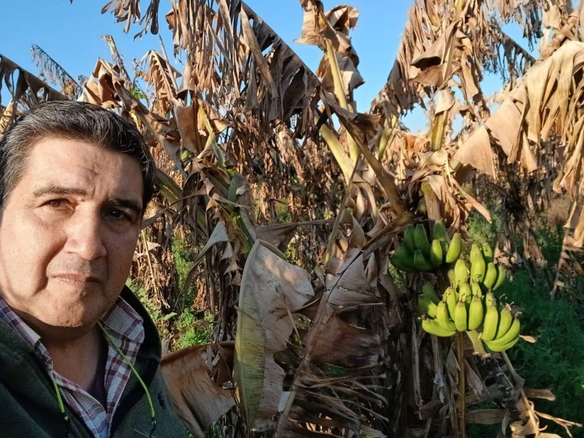 La crisis agrícola del norte formoseño: productores exigen diálogo urgente con Gobernación