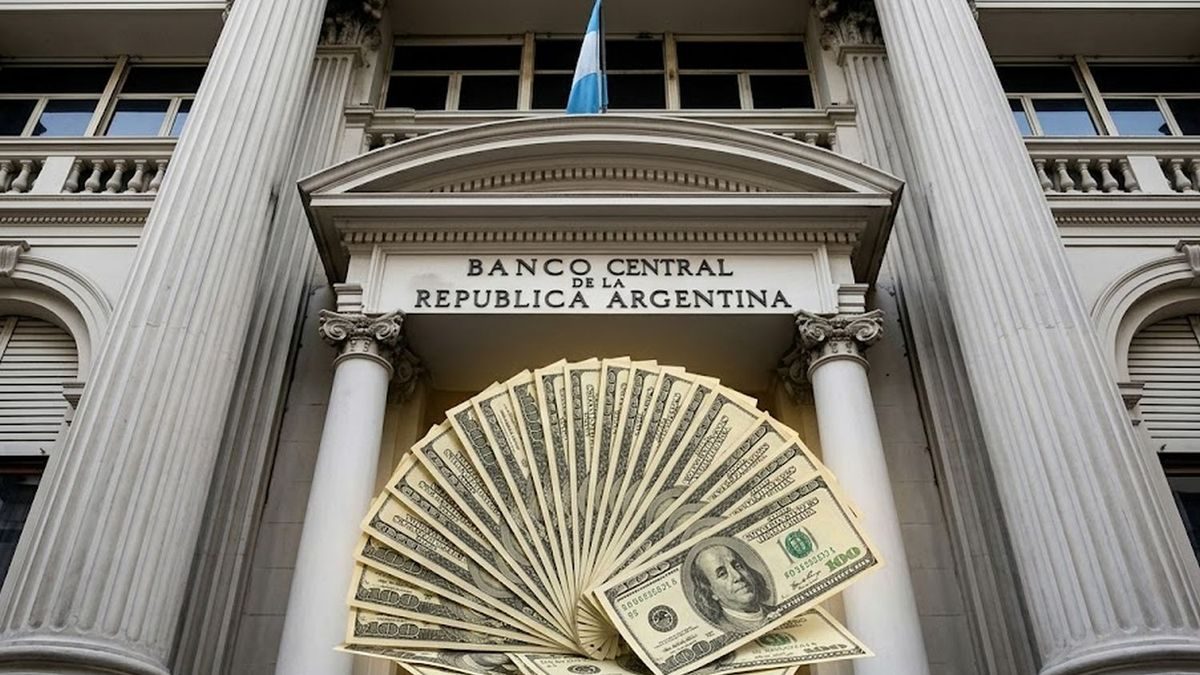 El BCRA abre la puerta a créditos en dólares para personas físicas