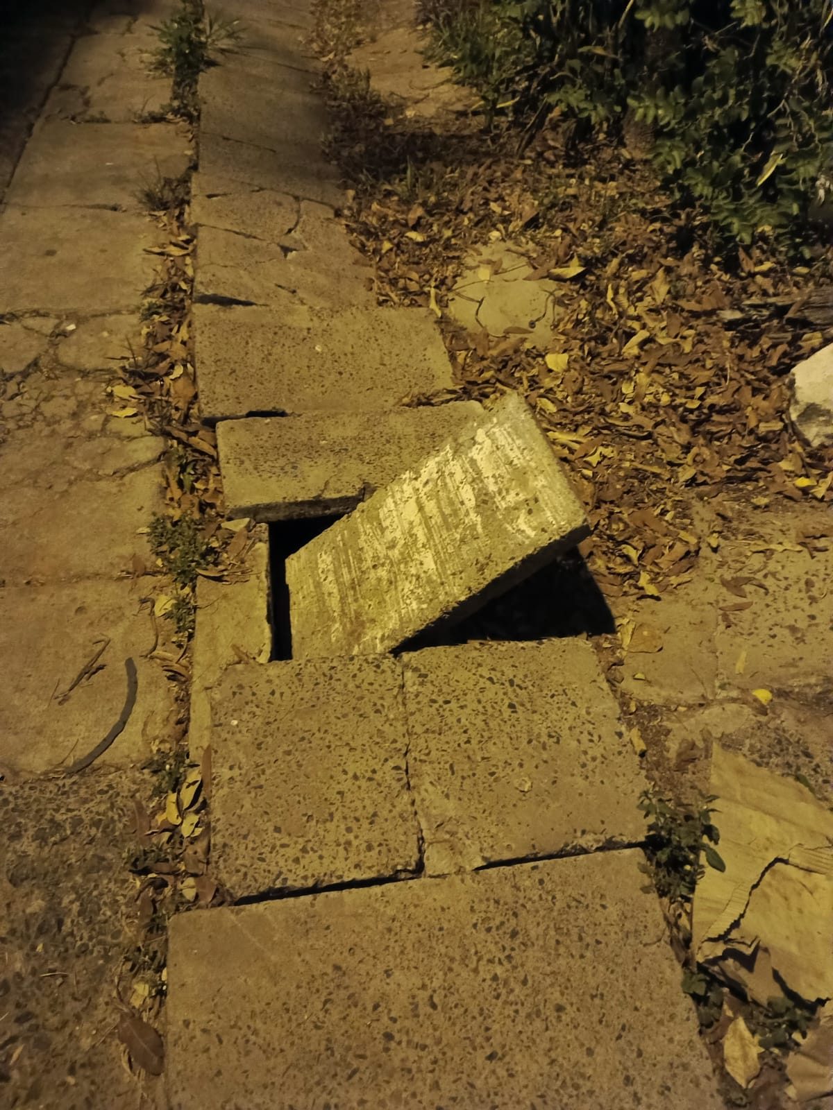 San Pedro: vecinos exigen veredas libres para circular sin riesgos