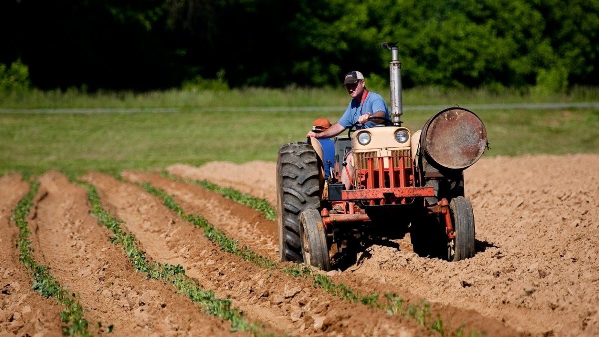 Alerta en el campo: 120 mil empleos rurales en riesgo por decreto vencido