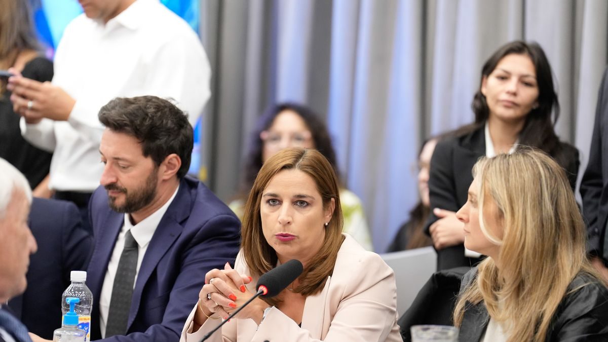 Una funcionaria libertaria generó polémica al difundir una imagen ofensiva contra dirigentes peronistas