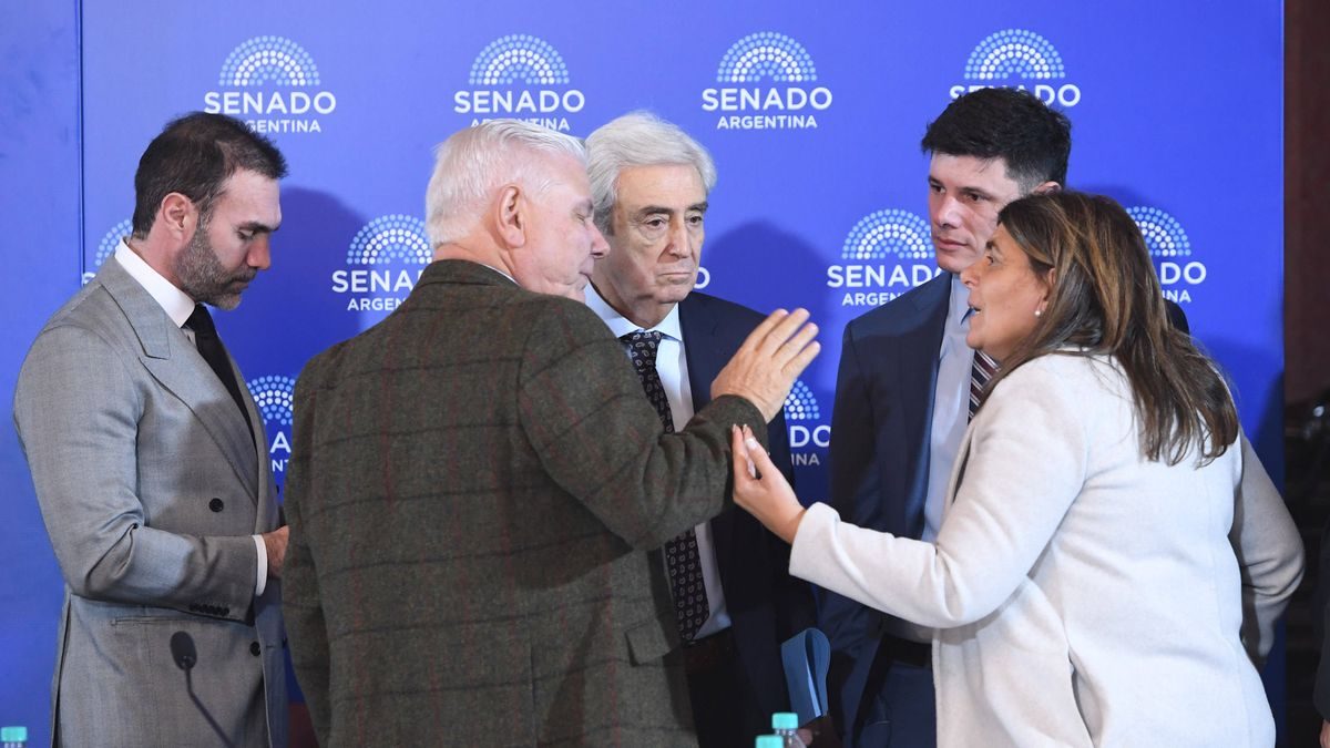 El Senado avanza con reforma de biocombustibles y busca convertir en ley Inocencia Fiscal II