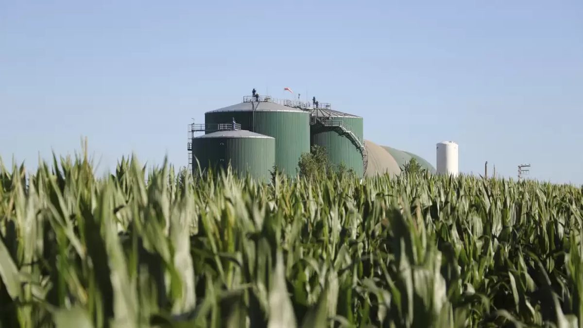 Agroindustriales apuestan fuerte a la nueva ley de biocombustibles con inversiones millonarias