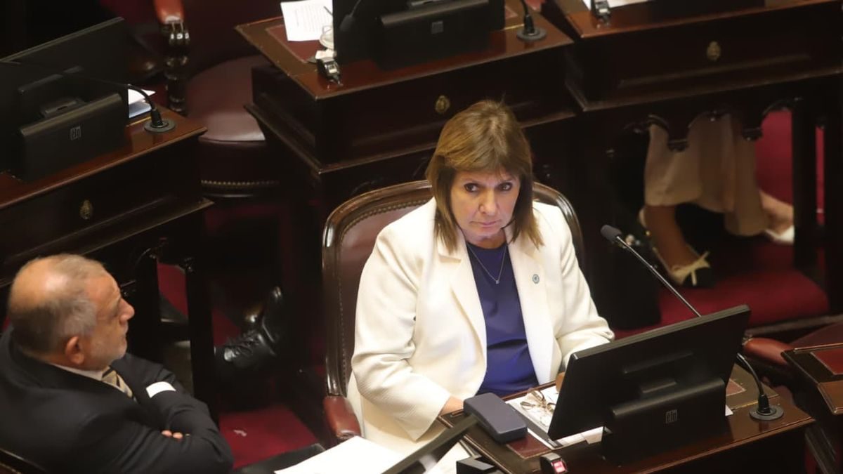 Bullrich cuestiona cambios en Discapacidad: "Resienten la relación con aliados"