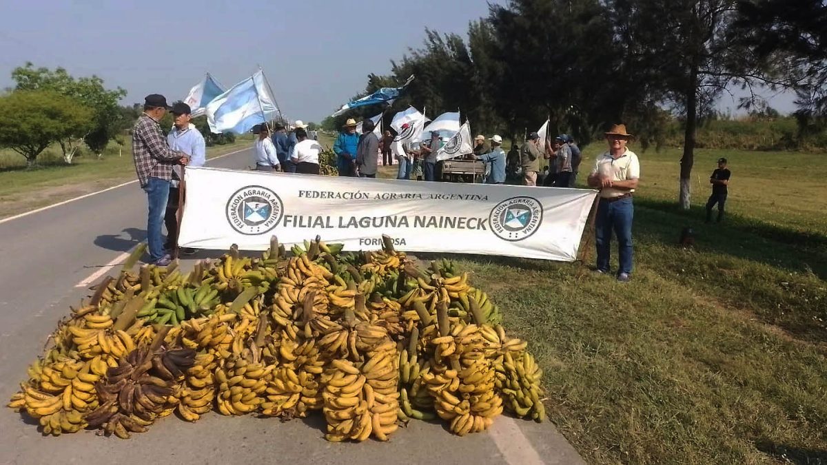 Bananeros de Formosa regalan su cosecha para visibilizar la crisis del sector