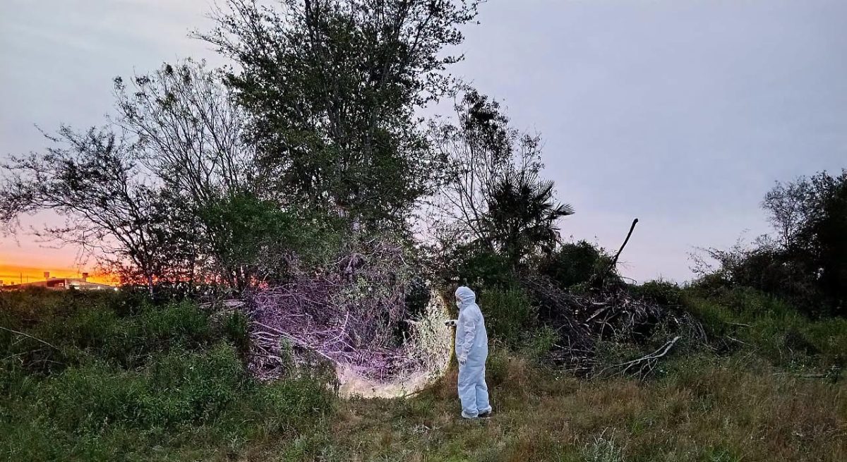 Hallazgo macabro en Antenor Gauna: investigan restos óseos hallados en descampado