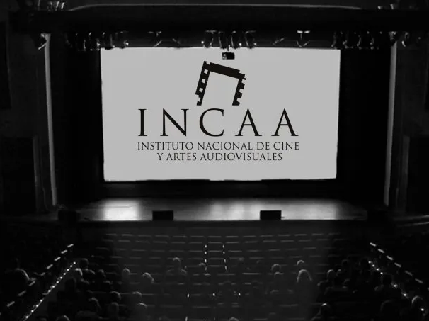 Comunicado de Federico Sturzenegger sobre el INCAA: «Películas sin espectadores»