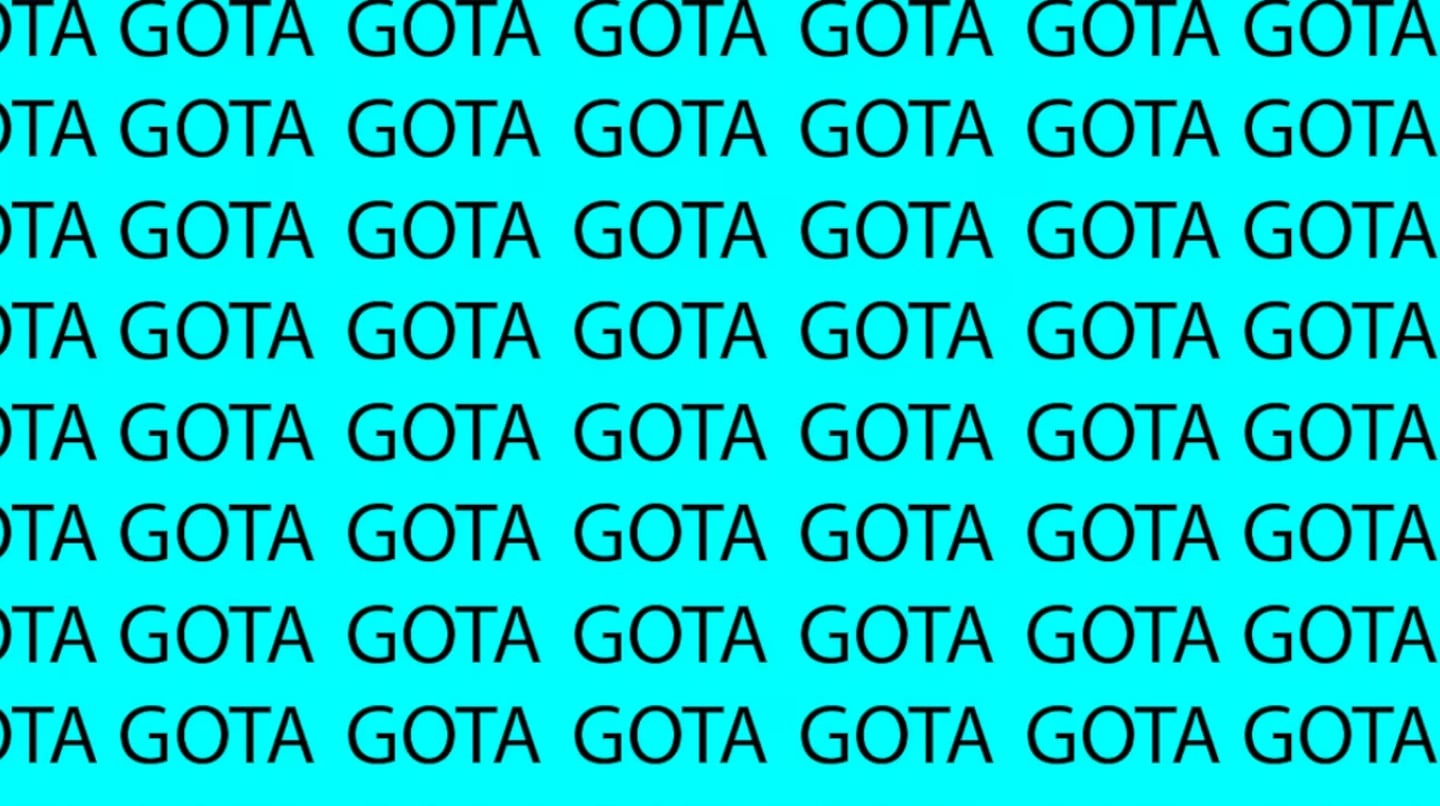 Solo un 11% lo resuelve: el desafío visual para personas con vista de halcón