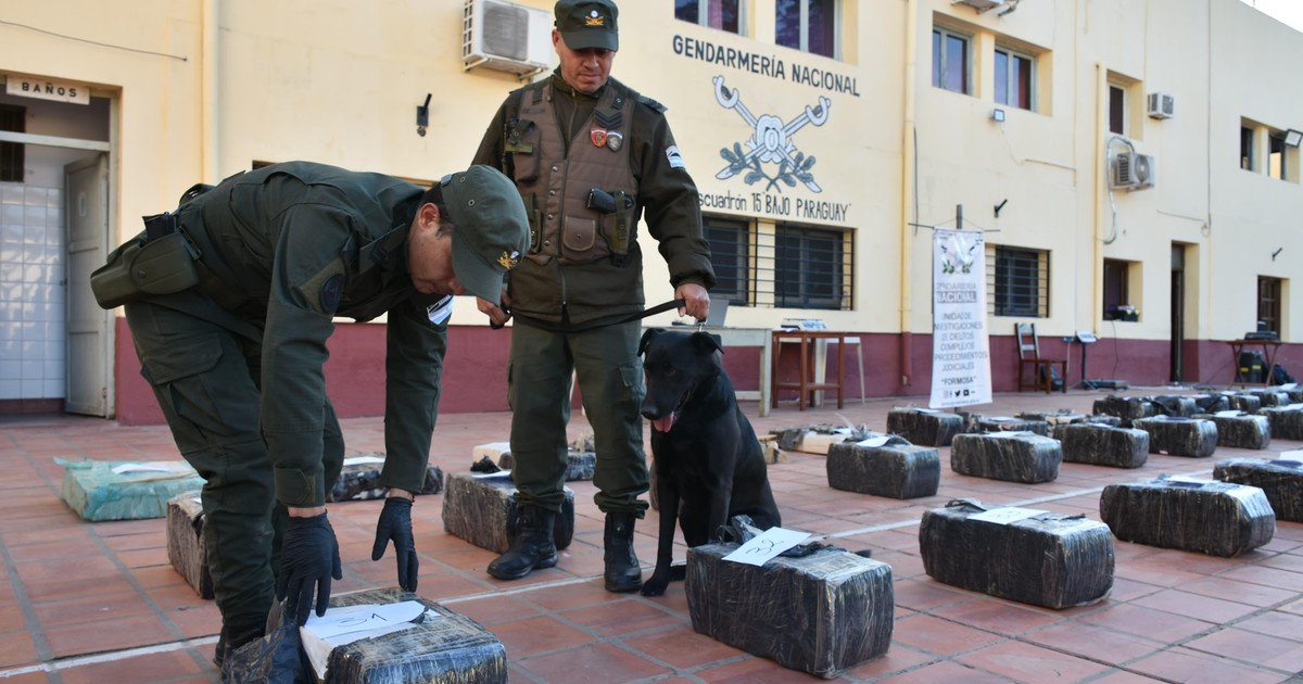 un-perro-de-gendarmeria-detecto-1.400-kilos-de-marihuana-en-un-camion-que-iba-a-chile