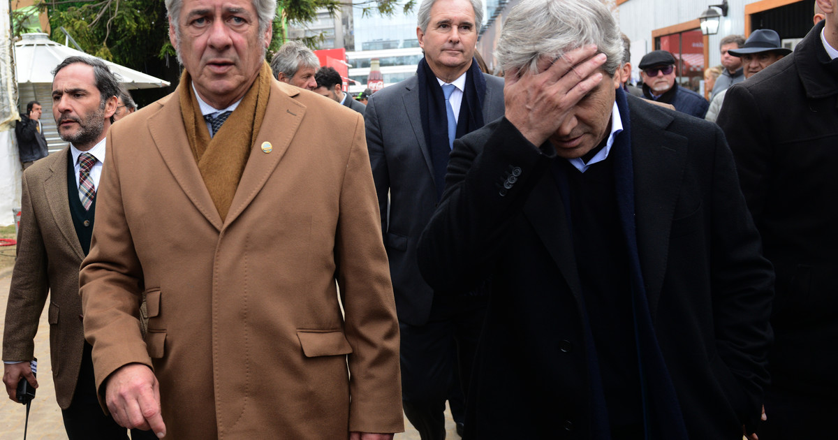 de-la-ilusion-al-malhumor,-la-rural-espera-a-milei