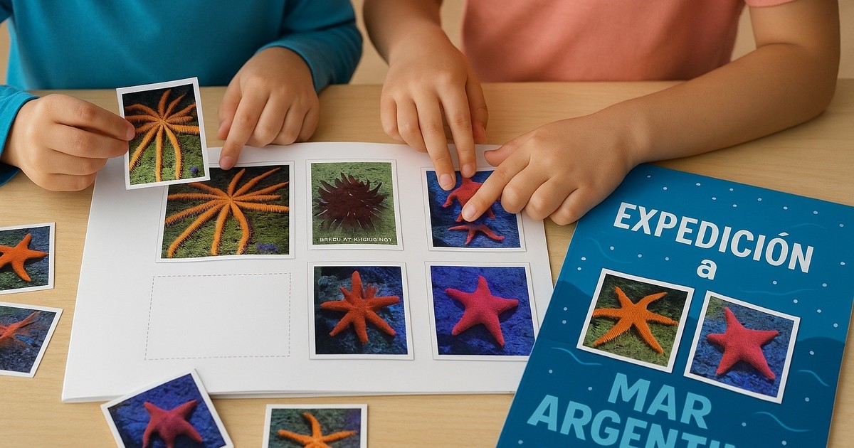 el-conicet-desperto-el-furor-por-los-animales-marinos:-como-acceder-a-las-nuevas-figuritas-coleccionables-gratis