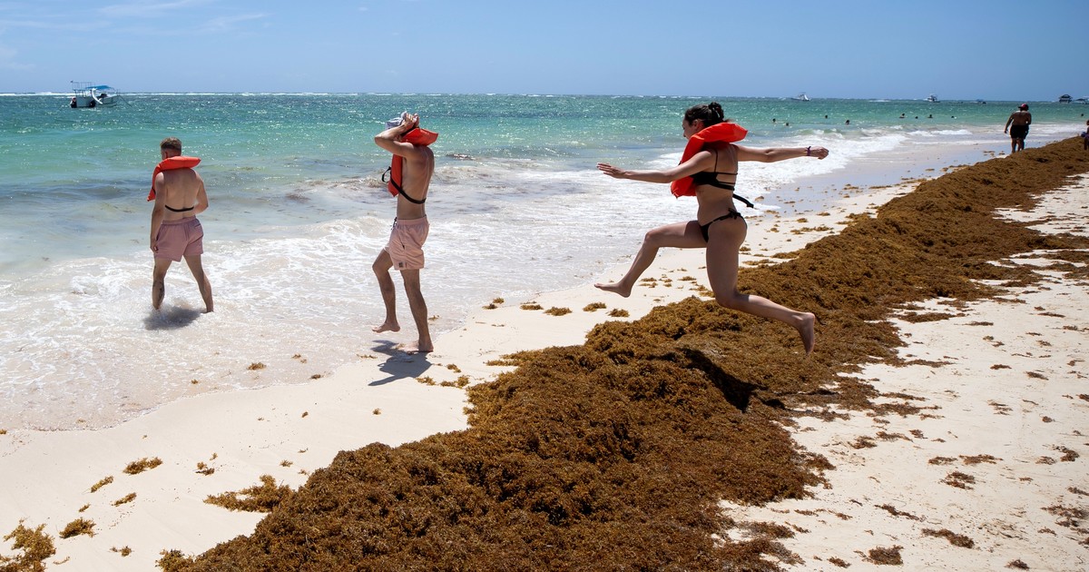 prostitucion-y-turismo:-la-curiosa-historia-de-por-que-el-gobierno-saco-la-visa-a-los-visitantes-dominicanos