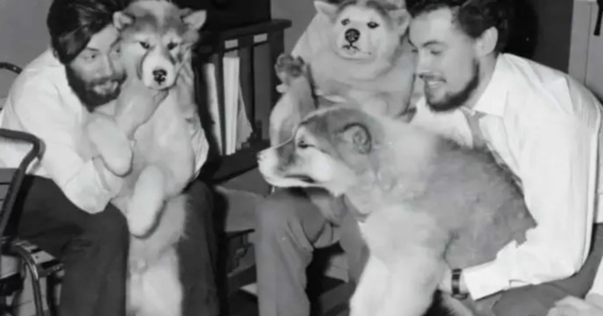 el-deshielo-dejo-al-descubierto-el-cadaver-de-un-desaparecido-en-la-antartida-en-1959