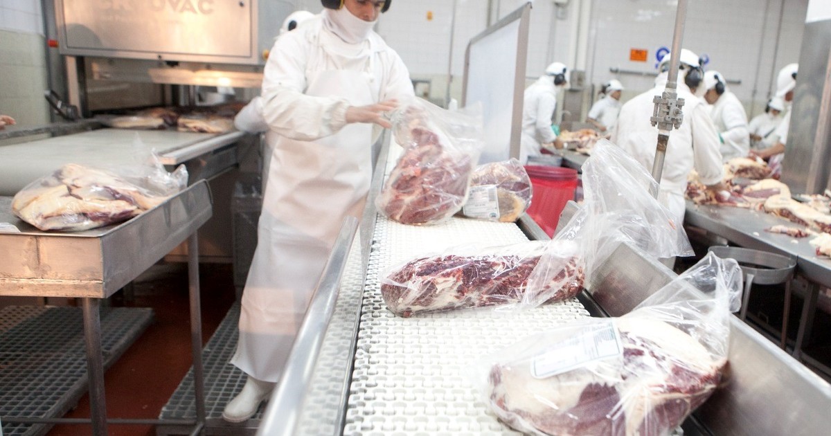 cambio-la-tendencia-en-las-exportaciones-de-carne-bovina:-julio-cerro-con-suba-en-el-valor-pese-a-una-leve-baja-en-los-volumenes