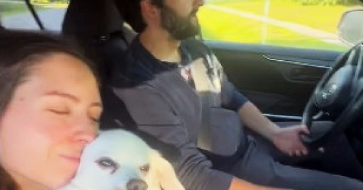 se-iban-a-casar,-su-perro-se-enfermo-y-gastaron-todo-el-presupuesto-de-su-boda-para-salvarlo:-«elvis-esta-primero»