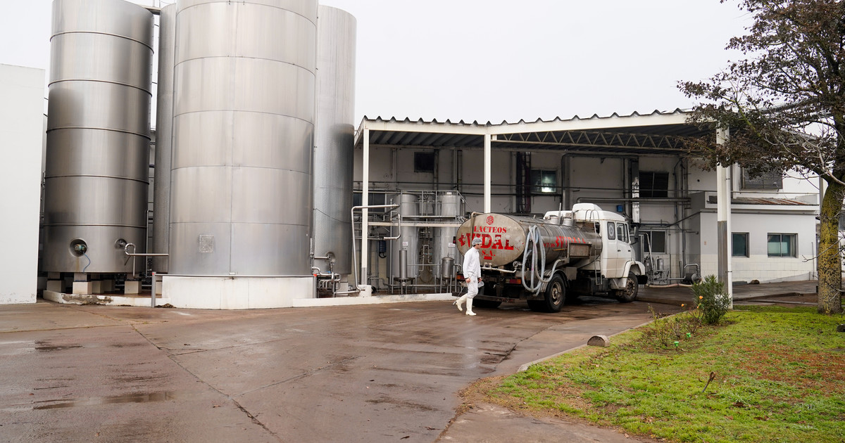 continua-el-conflicto-en-la-pyme-lactea-que-denuncio-el-bloqueo-de-su-planta:-la-justicia-ordeno-frenar-la-division-patrimonial