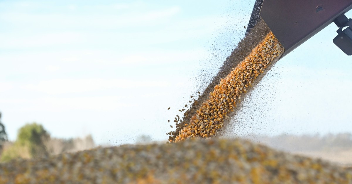 record-de-creditos-y-la-menor-mora-en-una-decada:-como-se-financia-el-campo-en-medio-de-la-guerra-por-las-retenciones