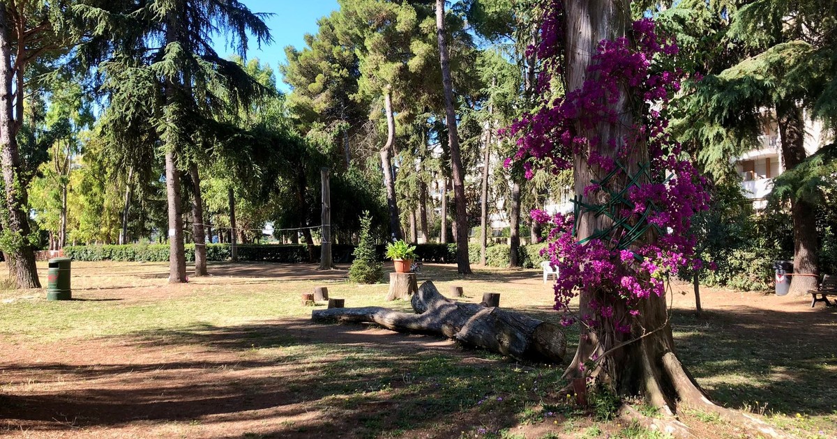 un-nene-celebraba-su-cumpleanos-en-una-plaza-y-fue-atacado-por-tres-menores:-le-desfiguraron-el-rostro