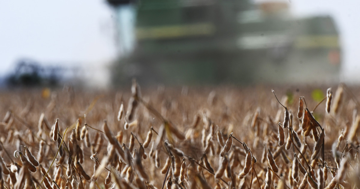 alerta-en-el-campo:-eeuu.-quiere-terminar-con-retenciones-cero-para-el-agro