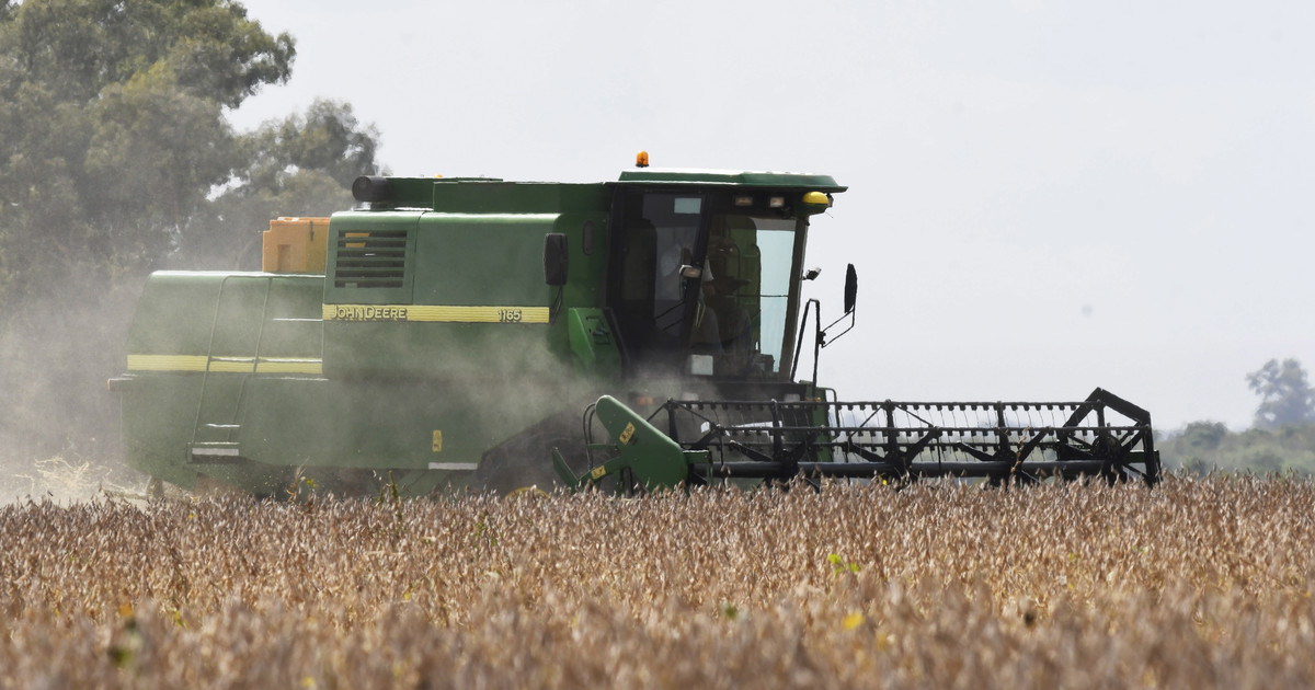 el-gobierno-dijo-que-el-campo-ya-vendio-por-us$-7.000-millones-y-le-puso-final-a-la-sorpresiva-medida-de-retenciones-cero