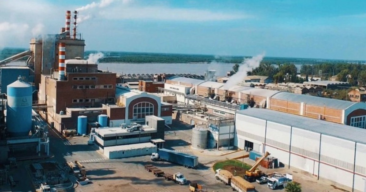 preocupacion-en-celulosa-argentina:-tras-venderse-por-us$-1,-sigue-parada-y-es-incierta-su-reactivacion