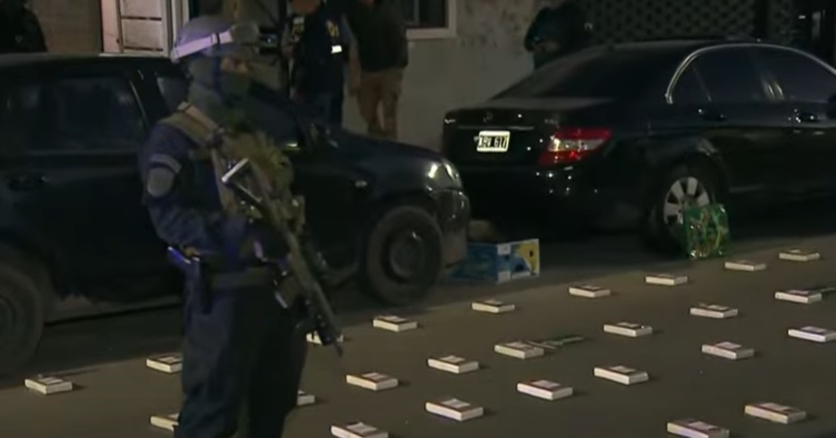 secuestraron-mas-de-260-kilos-de-cocaina-en-el-gba-y-la-ciudad:-el-cargamento-supera-los-1,5-millones-de-dolares