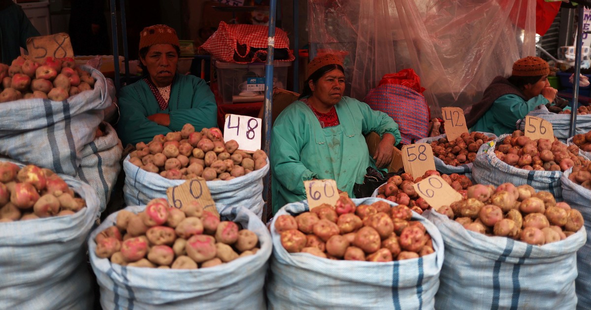 elecciones-en-bolivia:-un-pais-a-las-puertas-de-un-nuevo-ciclo-economico-tras-20-anos-en-el-poder-del-mas-de-evo-morales