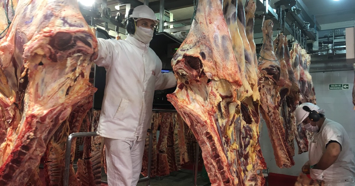 las-exportaciones-de-carne-crecieron-un-25%-en-valor:-ingresaron-casi-us$-2.800-millones-en-lo-que-va-del-ano