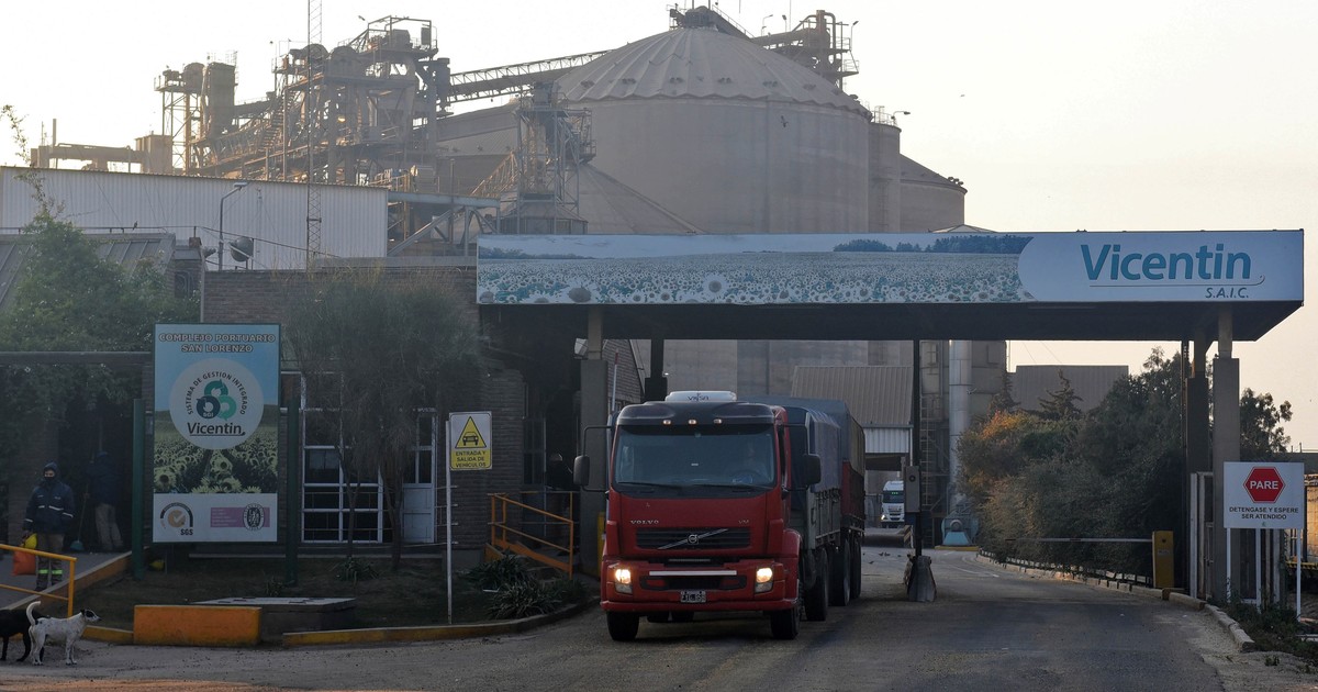 la-competencia-por-vicentin,-a-favor-de-los-acreedores