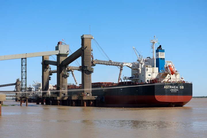 Argentina exportó 12 millones de toneladas de poroto de soja a China este año, cuatro veces más que el promedio de los últimos 10 años. EFE/ Juan Ignacio Roncoroni 