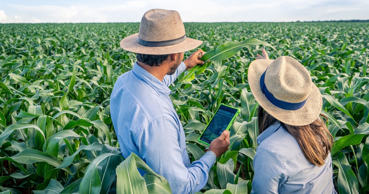 una-multinacional-anuncio-la-apertura-global-de-su-plataforma-digital-a-desarrolladores