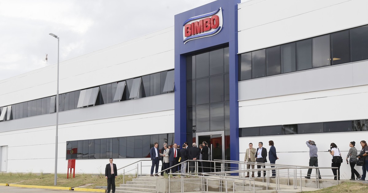 en-la-guerra-contra-las-harinas,-la-reina-mundial-del-pan-cambio-de-estrategia