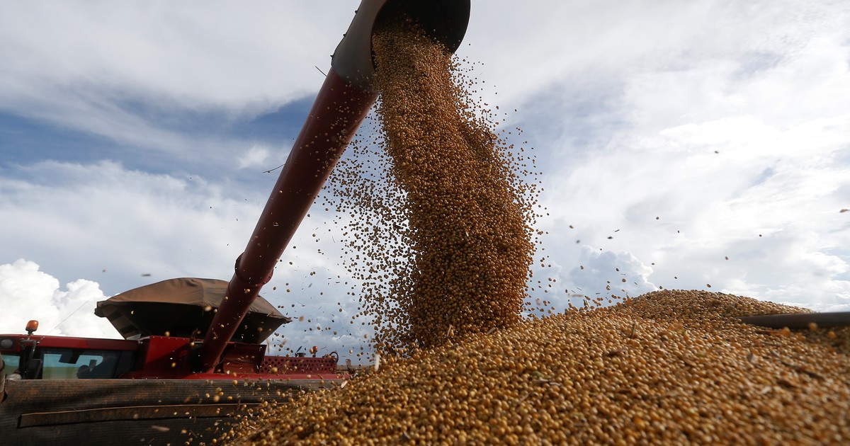como-quedan-las-retenciones-para-la-soja,-el-trigo,-el-maiz-y-el-resto-de-los-granos-tras-la-baja