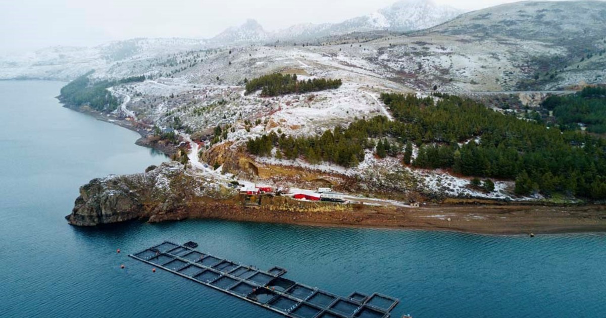 tierra-del-fuego-avanza-en-su-diversificacion:-una-nueva-ley-habilita-el-cultivo-de-salmon-y-trucha-como-en-noruega-e-islandia