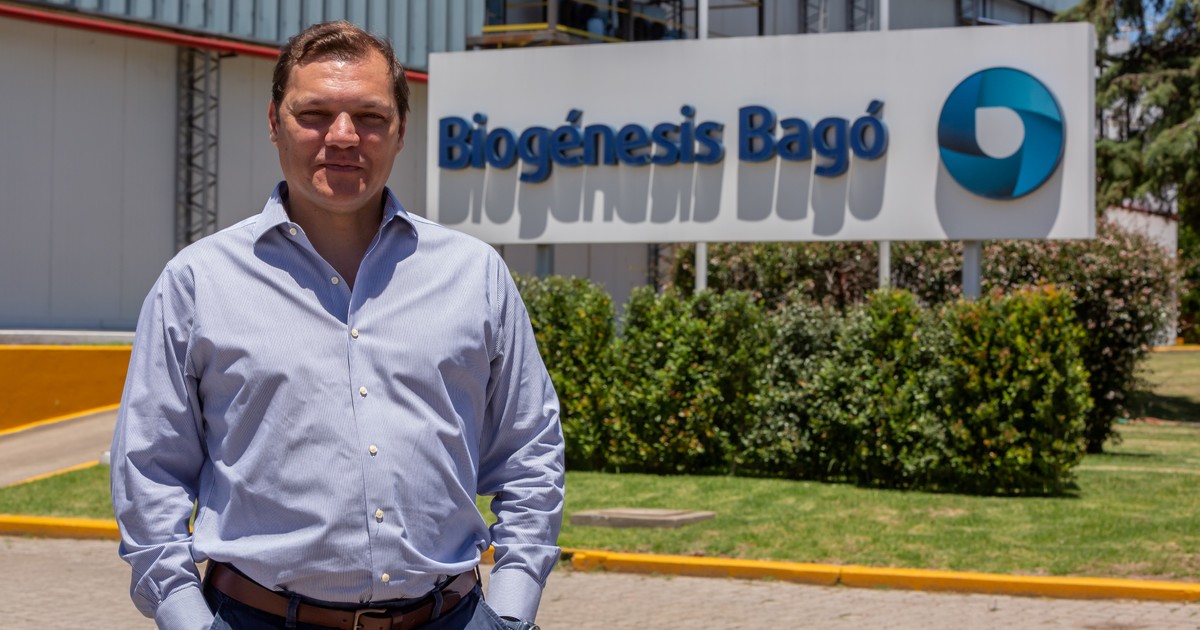 fiebre-aftosa:-desde-garin-a-shangai,-la-argentina-ya-vacuna-a-casi-todo-el-ganado-del-mundo