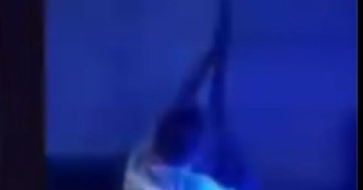 un-policia-de-canuelas-se-filmo-disparando-al-aire-con-una-escopeta-en-navidad:-fue-desafectado