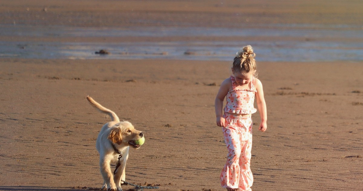 descubren-beneficios-para-la-salud-de-los-chicos-que-crecen-con-perros