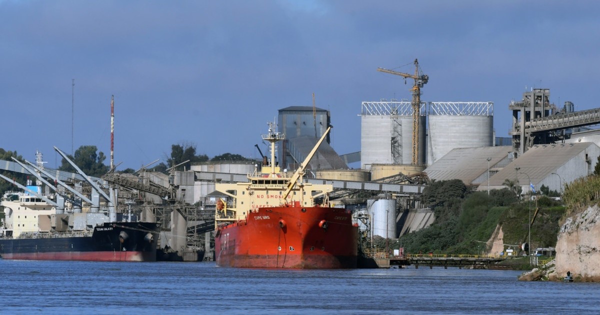 el-campo-liquido-mas-de-us$-1.000-millones-en-diciembre-y-cerro-2025-con-el-mayor-ingreso-de-divisas-en-dos-anos