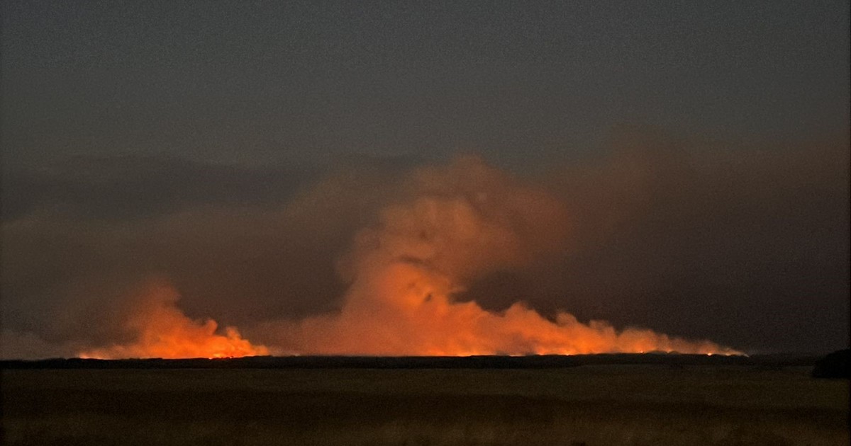el-fuego-se-devoro-casi-100.000-hectareas-en-la-pampa-y-los-productores-piden-medidas-para-enfrentar-la-situacion-y-las-perdidas